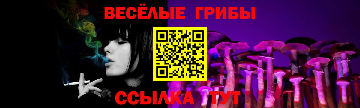 Псилоцибиновые грибы мухоморы Алексеевка